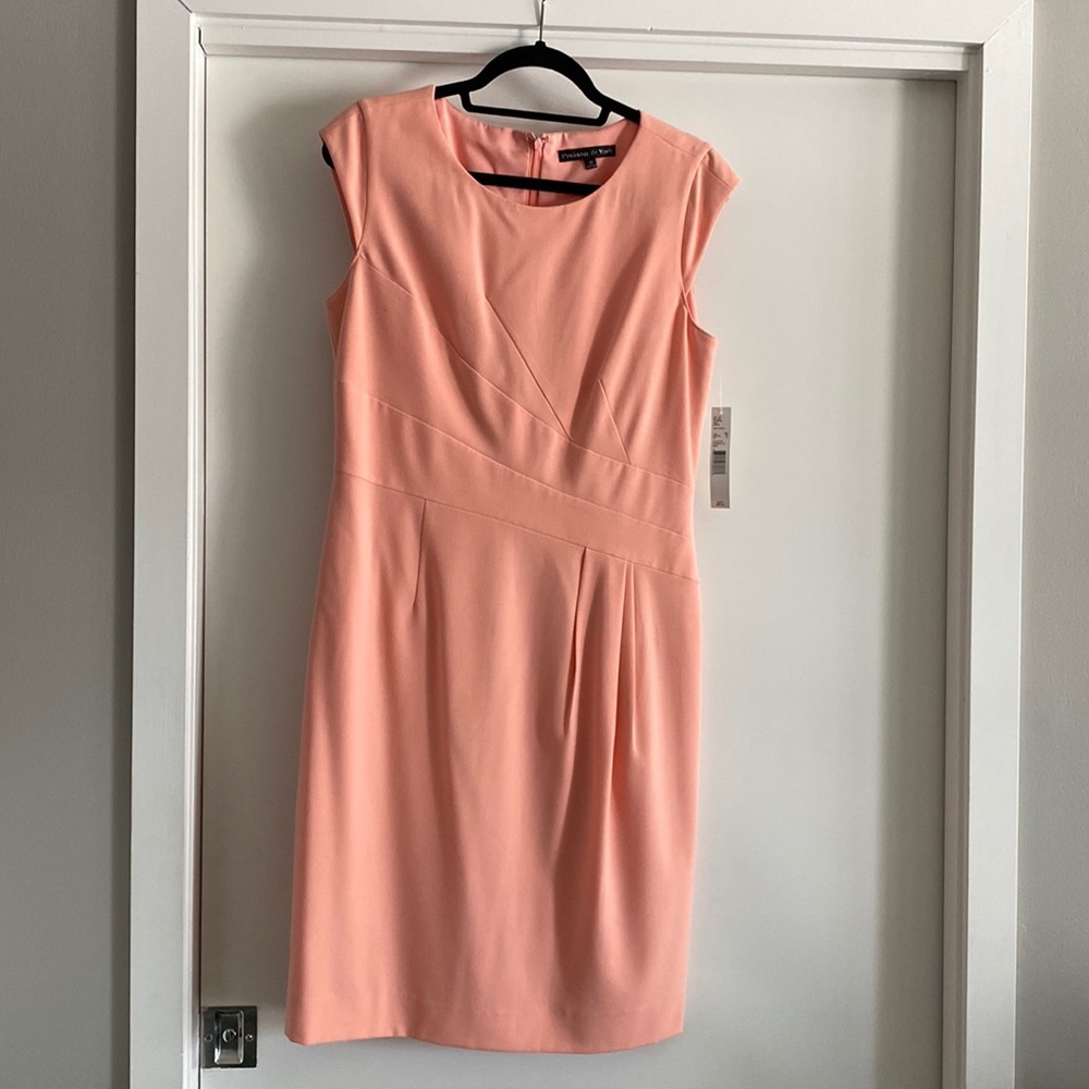 Brand New with Tag Size 10 Pale Pink Preston & York Dress